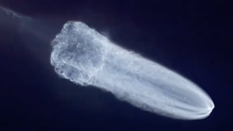 Can Anyone Tell Me What The Heck This Is?