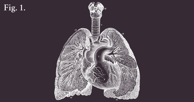 The Naturally Aspirated Engine