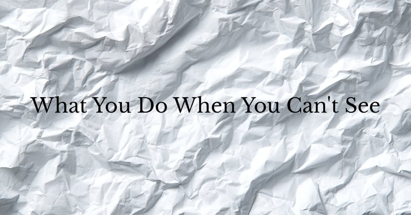 What You Do When You Can't See