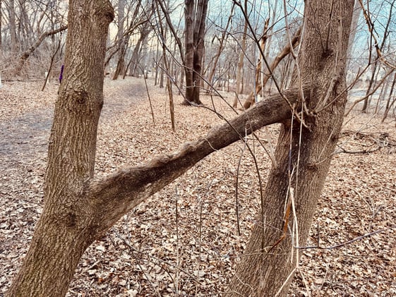 How Do I Lock In? The Hormones of Resistance/Love/Intuition/Joy/Touch