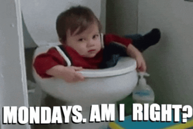 ๐ Plug the Profit Leaks