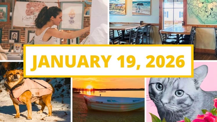 Free coats to keep pets warm, a creative way to give back to the community & more!