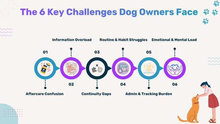 🐾 Beyond the Consult Room — How Dog Owners Navigate Confusion, Care & Daily Decisions