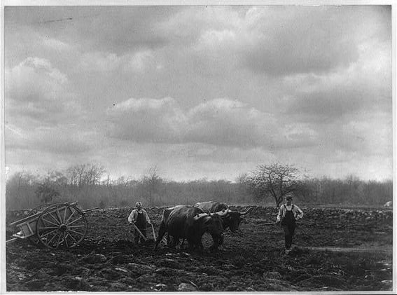 Springtime is a good time to pull out the driveway markers, right?
