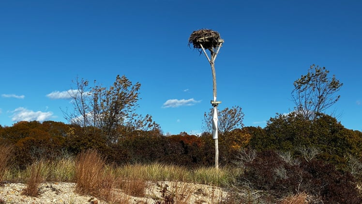 This Morning's Bulletin — 11.18.25