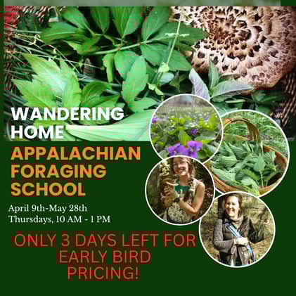 Time to Start Gathering your Own Food and Medicine