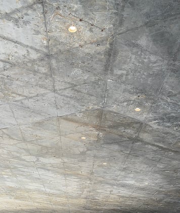 “The blemishes stand up and shout”