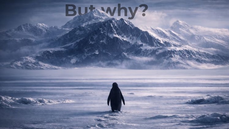 This will expose you...