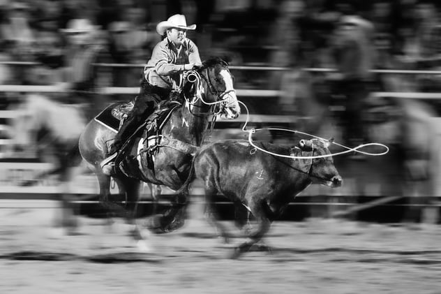 Don’t Be Stupid. Listen AND Act!