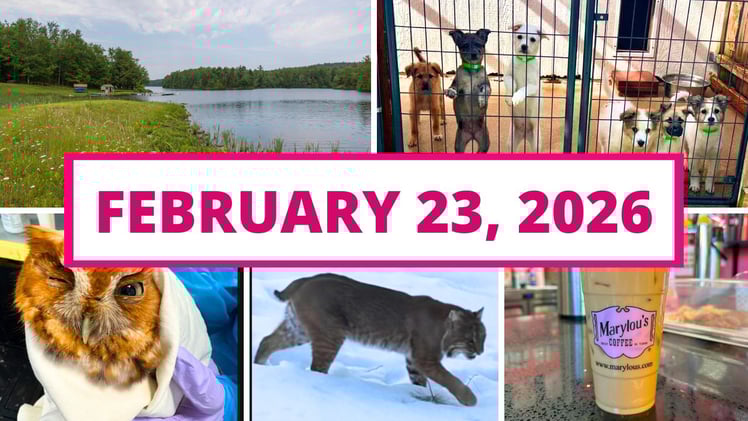 A rare wildlife sighting, a popular Marylou's location moves & more!