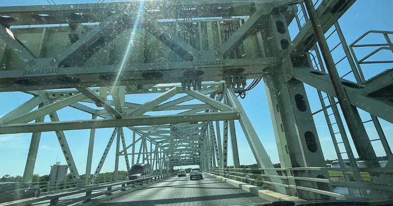 PCP Thur Mar 26: NHC's new elections director is suspended — and the board wants her gone 🗳️