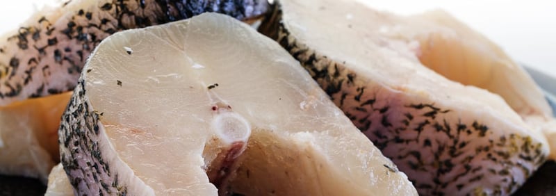 Get a Perfect Pike Fillet Every Time—Here’s How