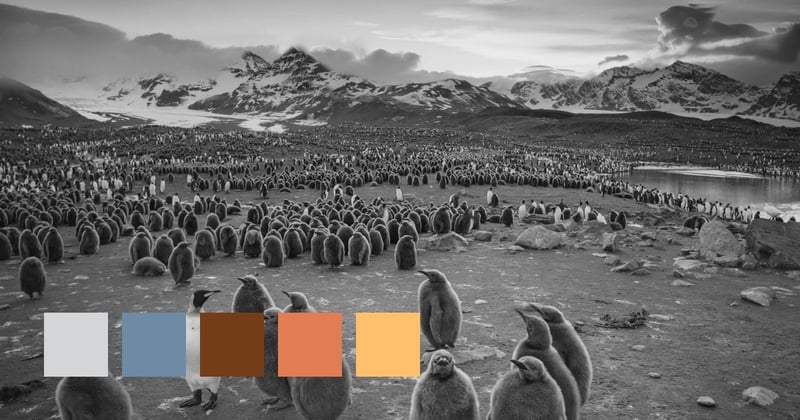 South Georgia And The South Sandwich Islands