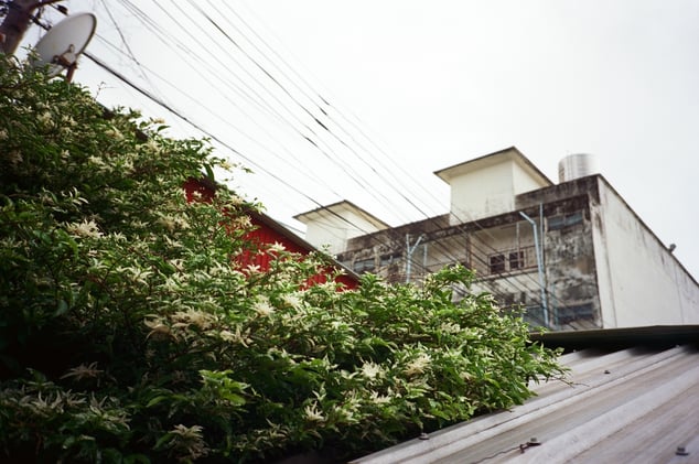 05.25.25 | Lampang