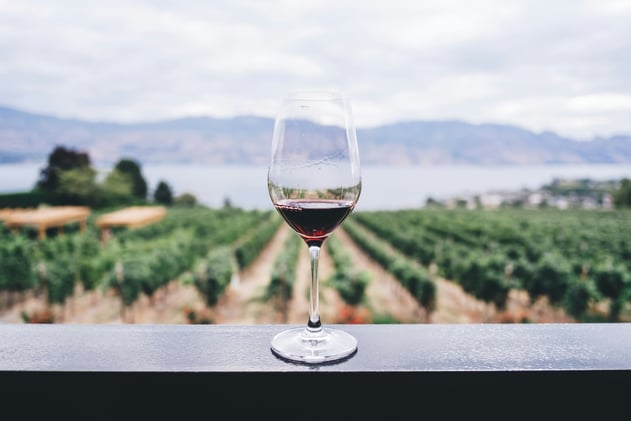 Okanagan winery placed into receivership