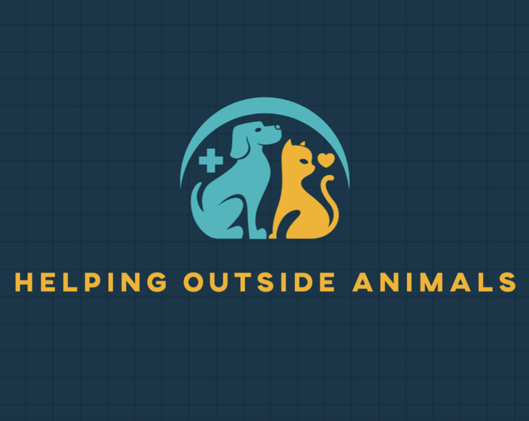Go-To Guide & Important Updates from Helping Outside Animals