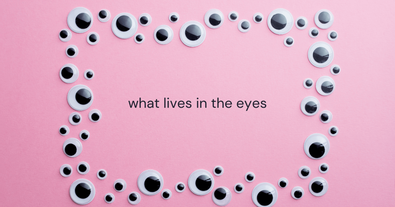 👁️ The eyes have it