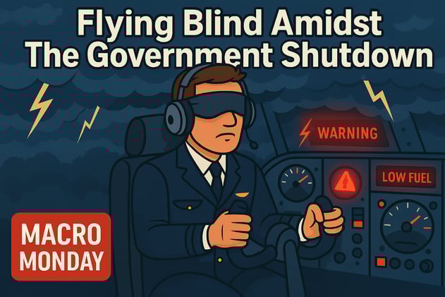 Flying Blind Amidst The Government Shutdown