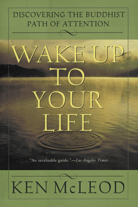 This Is The Best Book I’ve Ever Read On Meditation