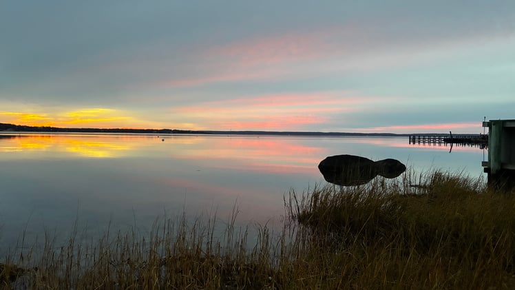 This Morning's Bulletin — 11.19.25