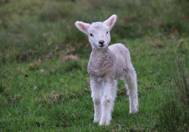 Cool Things To Do In Devon 13.04.2023