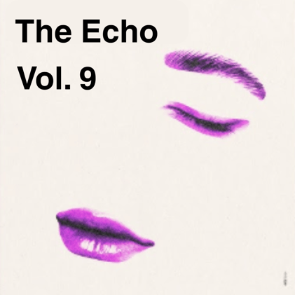 The Echo Vol. 9 - Hugo is coming