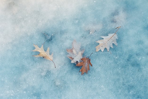 Picton Gazette Express: Vol. 3 No. 3