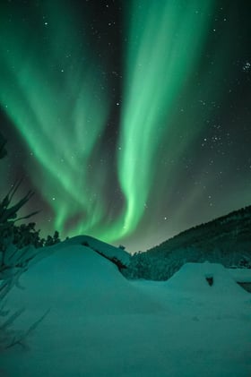 Phone cameras can take in more light than the human eye − that’s why low-light events like the northern lights often look better through your phone camera