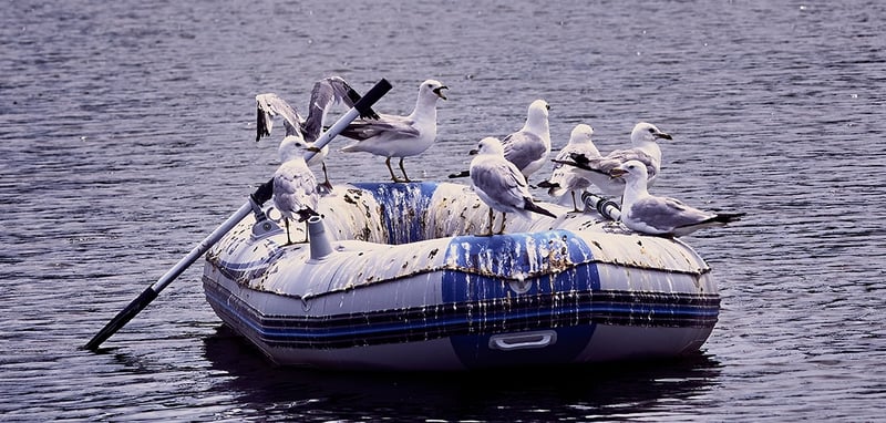 Any Details??? Tubi AI Edition