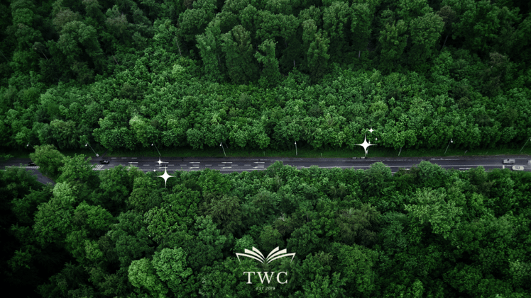 The Power of Goal Setting: The Foundation for Lasting Growth