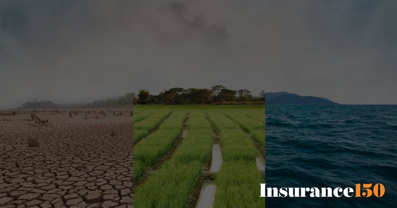 How Insurance Leaders Are Adapting to Climate Change: Insights From Our Latest Microsurvey
