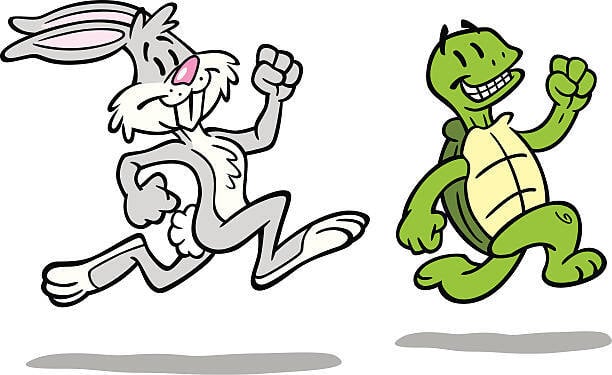 The Tortoise and the Hare of Investments