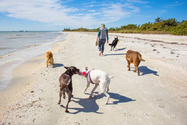 5 Minutes of Daily Exercise Could Add Years to Your Life: New Research