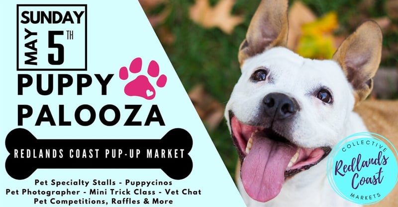 🔵 FREE Dog-friendly Market