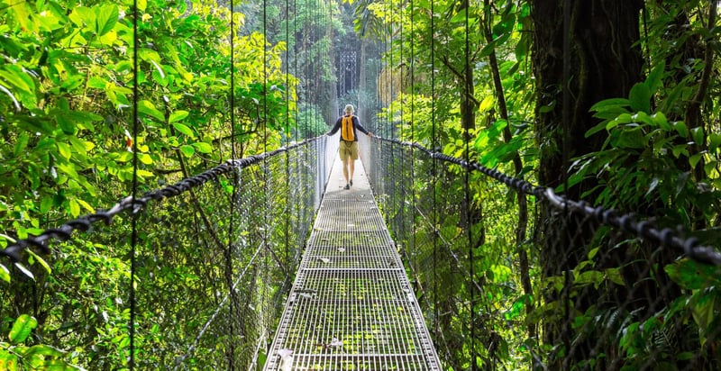 A Peaceful Day in the Jungles of Costa Rica