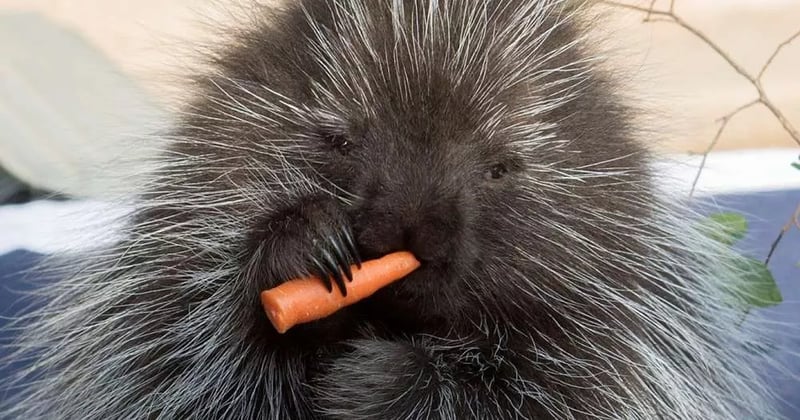 Phthursday Musings: Gambling Is Stupid and I Hate It