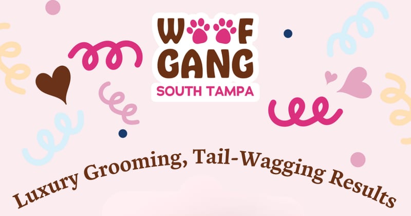 Spring Break, Spring Clean, Spring Forward... 🌷💐