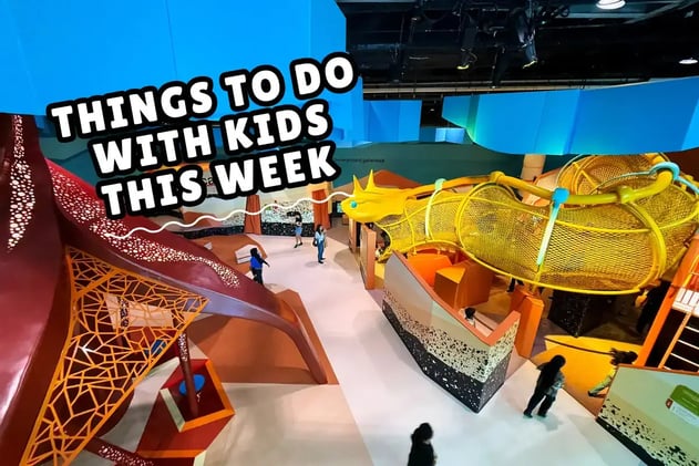 Weekly things to do 24 - 30 Nov 