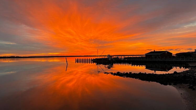 This Morning's Bulletin — 11.26.25