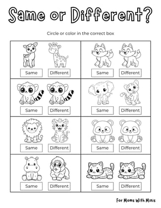 Baby Animal Same or Different