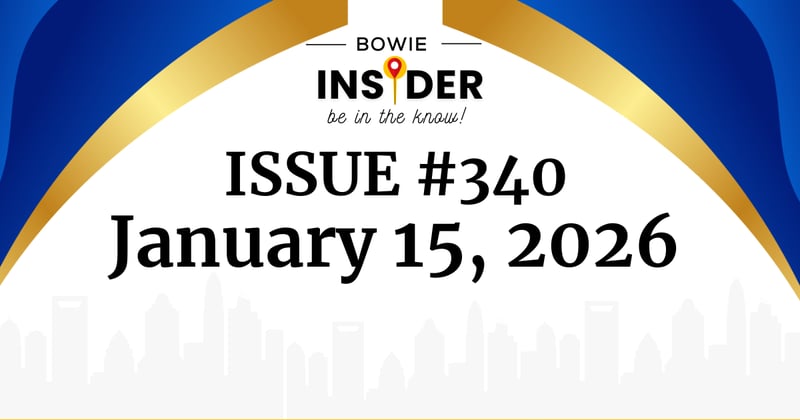 Bowie Insider Issue #340