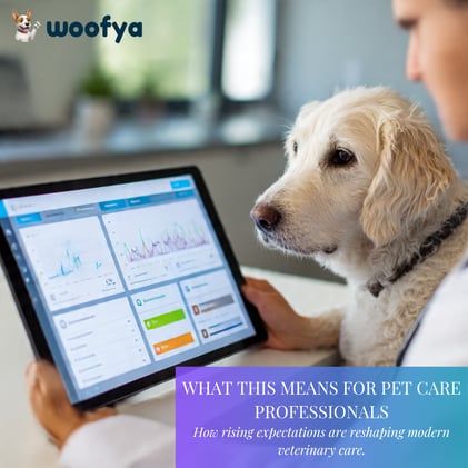 🐾 Beyond the Consult Room — How Dog Owners Navigate Confusion, Care & Daily Decisions