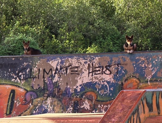 Newsport Alert Thursday 16 January 2025