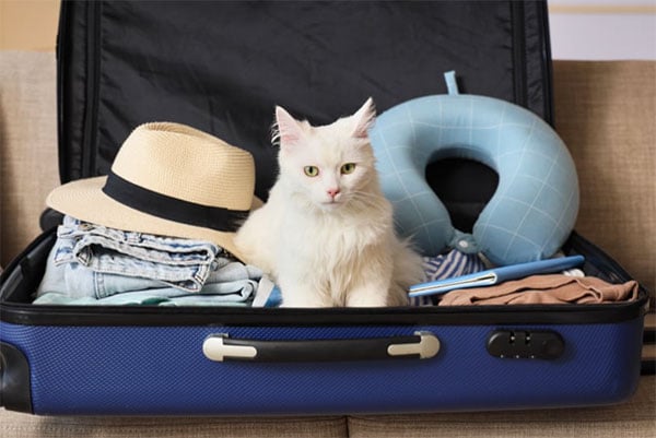 Your packing crime, your ADHD cape, and a trail etiquette reset