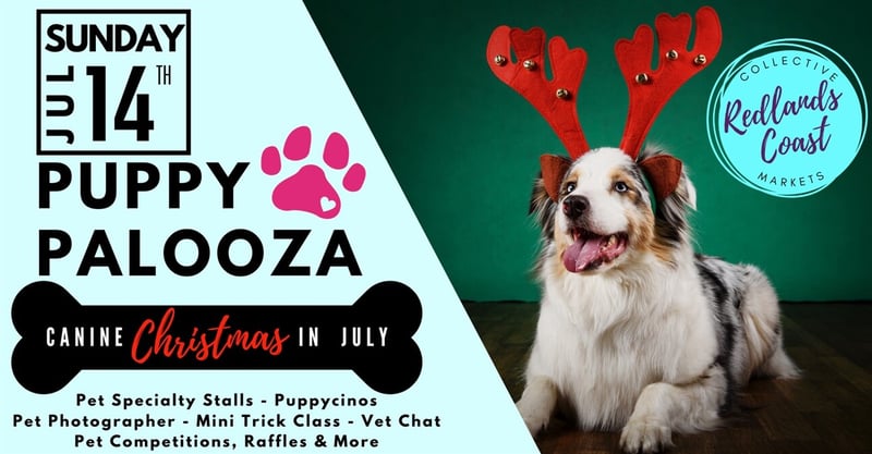 🔵 PuppyPalooza