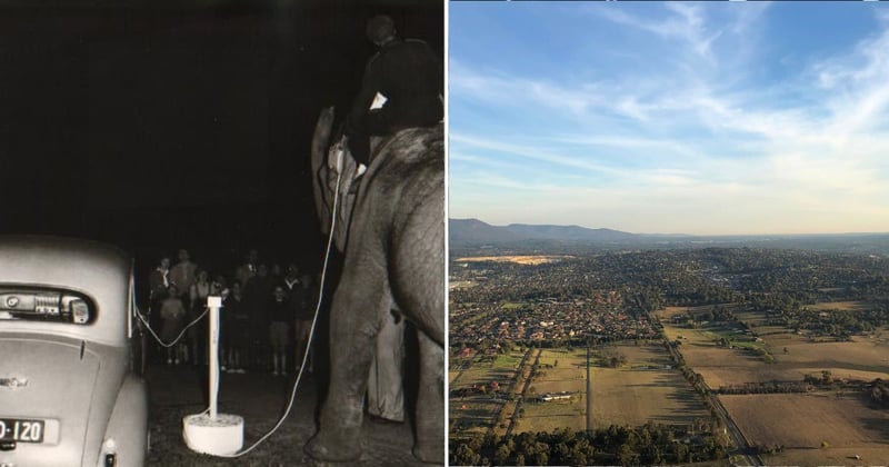 🟠 Indiana Jones and the Last Carpark