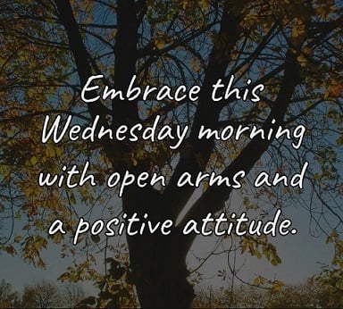 Day 7: Midweek High-Five + Vision & Vitality Reset