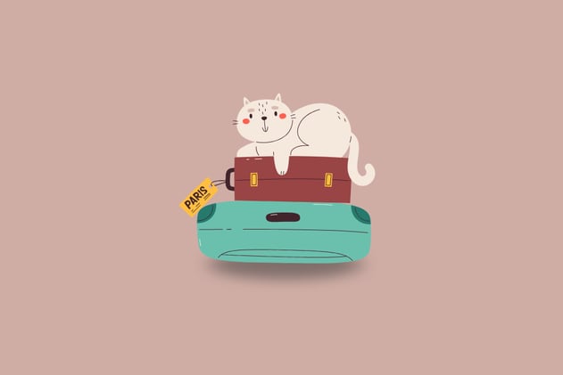 Ultimate Guide to Traveling With Pets