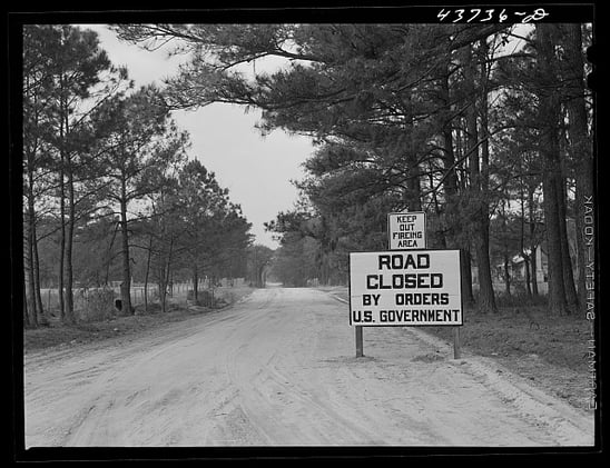 I wish there were a way to slow summer down.