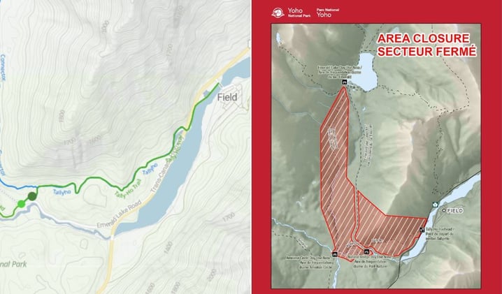 Grizzly Charges Trail Runner Near Field BC, Area Now Closed